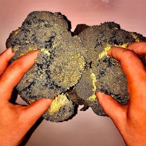 Aftensmad + dessert og kaffe